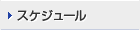 スケジュール